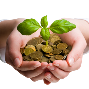 Investitori i finansiranje