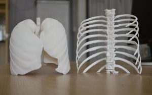vestacko Rebro 3d