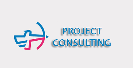 project consulting