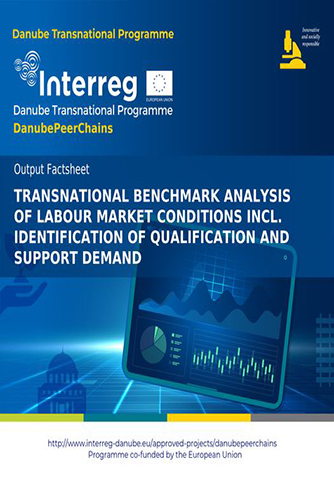 Transnational benchmark analysis of labour market conditions